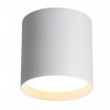 фото Светильник белый/металл IP20 LED 8W 480Лм 3000K/4000K/6000K 120° 220-240V OBEN HIGHTECH, арт. 7130/8CL