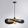 фото Подвесной светильник Arte Lamp WOODSTOCK A7059SP-1BK