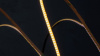 Светодиодная лента SWG PRO COB, 400 LED/м, 4,8 Вт/м, 24В, IP20, Цвет: Теплый белый, SWG-COB400-24-4.8-WW, катушка 5 м
