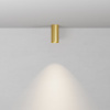 фото Потолочный светильник Maytoni Technical Focus C010CL-01MG-N, золото