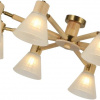 фото Потолочная люстра Arte lamp MELEPH A4096PL-8BR