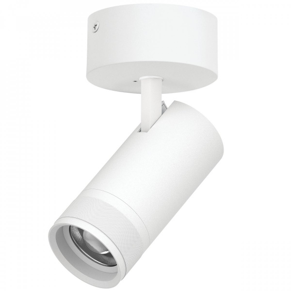 Светильник накладной 30W 2100LM 20-55G с адаптером Canno Pro, белый Lightstar C4306SO