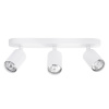 Спот Arte Lamp AQUARIUS A3226PL-3WH