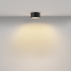фото Потолочный светильник Maytoni Technical Zon C032CL-12W2.7K-RD-B, черный