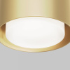 фото Потолочный светильник Maytoni Technical Space C092CL-GX53-MG, матовое золото