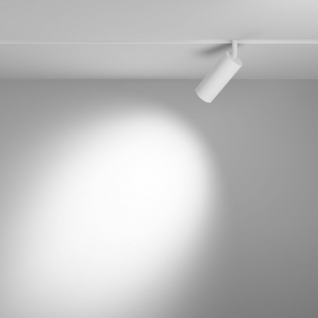 фото Трековый светильник Maytoni Technical Focus LED TR032-4-12WTW-M-DSZ-W, белый