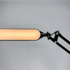 фото Офисная настольная лампа Arte Lamp FLEX A5128LT-1BK