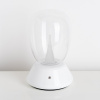 фото Настольная лампа диммируемая 10W 3000K прозрачный/белый Uovo III Lightstar 807906