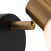 фото Спот Arte Lamp FALENA A3117AP-1BK