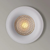 фото Точечный встраиваемый светильник Arte Lamp DUCRE A8095PL-1WH