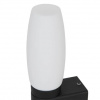 фото Подсветка для зеркал Arte Lamp AQUA-BASTONE A1209AP-1BK