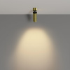 фото Потолочный светильник Maytoni Technical FOCUS LED C055CL-L12W2.7K-W-BS, латунь