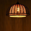 фото Подвесной светильник Arte Lamp WOODSTOCK A7071SP-1BK