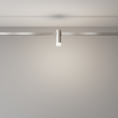 фото Трековый светильник Maytoni Technical Skim TR145-1-3W4K-W-PT, платина