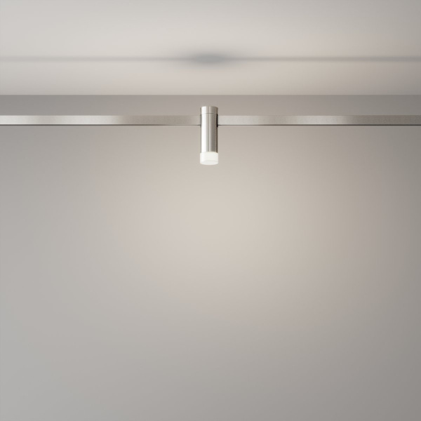фото Трековый светильник Maytoni Technical Skim TR145-1-3W4K-W-PT, платина