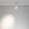 фото Трековый светильник Maytoni Technical Focus Led TR197-3-20WCCT-M-W, белый