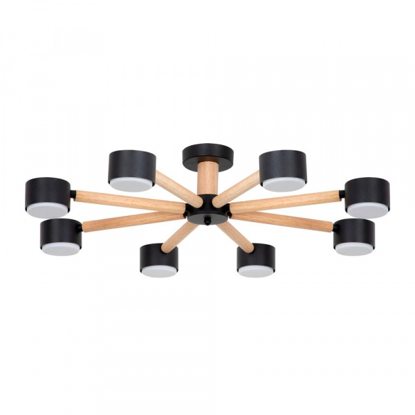 Потолочная люстра Arte Lamp TENDA A1624PL-8BK