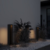 фото Ландшафтный светильник Maytoni Outdoor Goll O462FL-L10GF3K, графит
