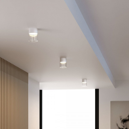 фото Светильник потолочный светодиодный 10W 4000К белый 25047/LED