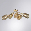 фото Потолочная люстра Arte Lamp MARIA A4536PL-6AB