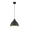 Подвесной светильник Arte Lamp BRACCIO A2055SP-1BK
