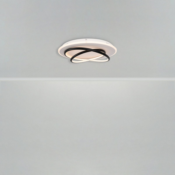 фото Потолочный светильник Freya FR6089CL-L120WB, бело-черный