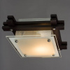 фото Потолочный светильник Arte Lamp ARCHIMEDE A6462PL-1CK