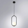 фото Подвесной светильник Arte Lamp MATISSE A7745SP-1BK