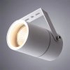 фото Прожектор Arte Lamp MISTERO A3303AL-1WH