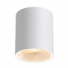 фото Светильник белый/металл IP20 LED 12W 840Лм 3000K/4000K/6000K 36° 220-240V BRIM HIGHTECH, арт. 7139/12CL