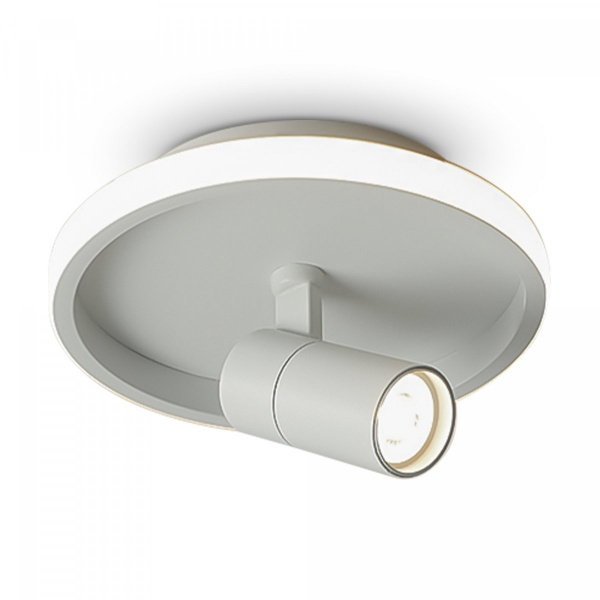 фото Потолочный светильник Freya FR6040CL-L14W, белый