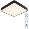 фото Потолочный светильник Arte Lamp SCENA A2663PL-1BK