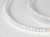 фото Лента светодиодная SWG DSG 3528 120L-V12-IP65,6000K, 120 LED, 9.6 W/m, LUХ, катушка 5 м