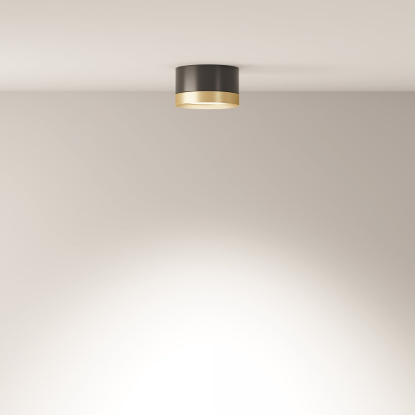фото Потолочный светильник Maytoni Technical Hoop C086CL-GX53-SRD-BG, черный с золотом