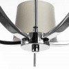 фото Подвесная люстра Divinare SOPRANO 1341/02 LM-5