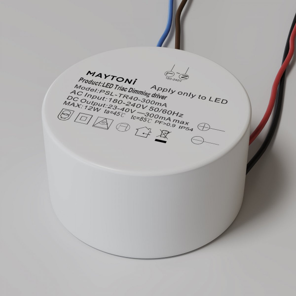 фото Источник питания TRIAC 12Вт IP54 Maytoni PSL-TR40-300mA, белый
