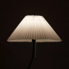 фото Торшер Arte Lamp AGATHA A5069PN-1BK