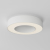 фото Потолочный светильник Maytoni Technical Lua C093CL-24W3K-W, белый