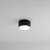 фото Потолочный светильник Arte Lamp FADO A7312PL-1BK