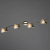 фото Спот Arte Lamp PARRY A5062PL-4AB