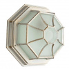 фото Уличный потолочный светильник Arte Lamp PEGASUS A3121PF-1WG