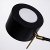 фото Декоративная настольная лампа Arte Lamp SEBASTIAN A7051LT-1BK