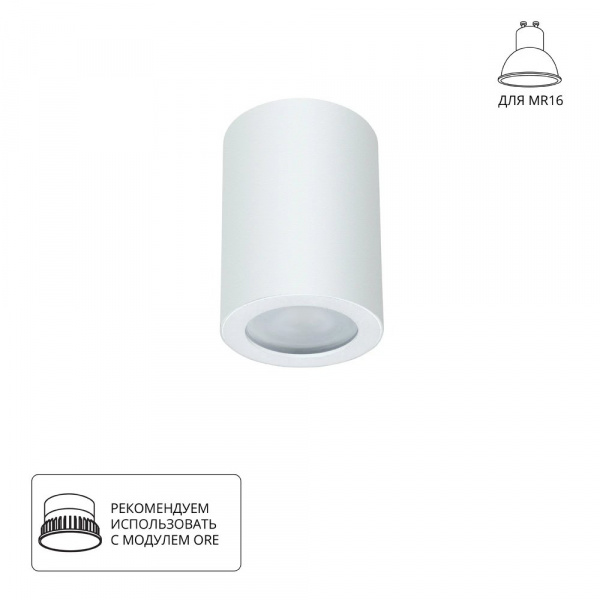 Точечный накладной светильник Arte Lamp TINO A1468PL-1WH