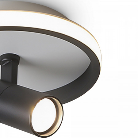 фото Потолочный светильник Freya FR6040CL-L14B, черный