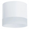 фото Точечный накладной светильник Arte Lamp CASTOR A5554PL-1WH