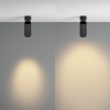 фото Потолочный светильник Maytoni Technical Focus Zoom C055CL-L12W2.7K-Z-B, черный