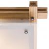 фото Потолочный светильник Arte Lamp ARCHIMEDE A6460PL-2BR
