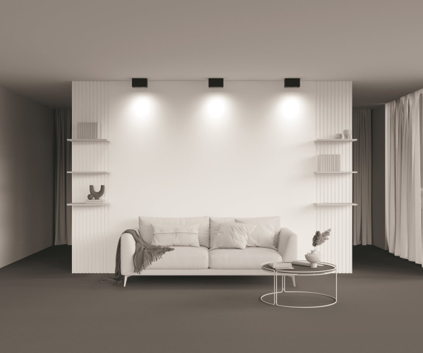 фото Потолочный светильник Maytoni Technical Atom C017CL-02B, черный