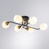 фото Потолочная люстра Arte Lamp ANDREA A8141PL-6BK