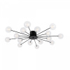 фото Потолочный светильник Freya Celebrity FR5242CL-16B1, черный